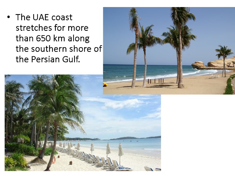 The UAE coast stretches for more than 650 km along the southern shore of
